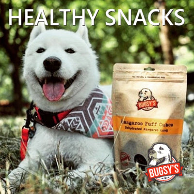 HEALTHY SNACKS | Dehydrated Pet Treats and Snacks for Everyday