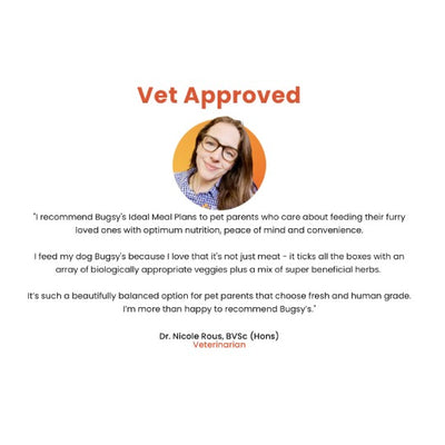 Bugsy: Vet Approved